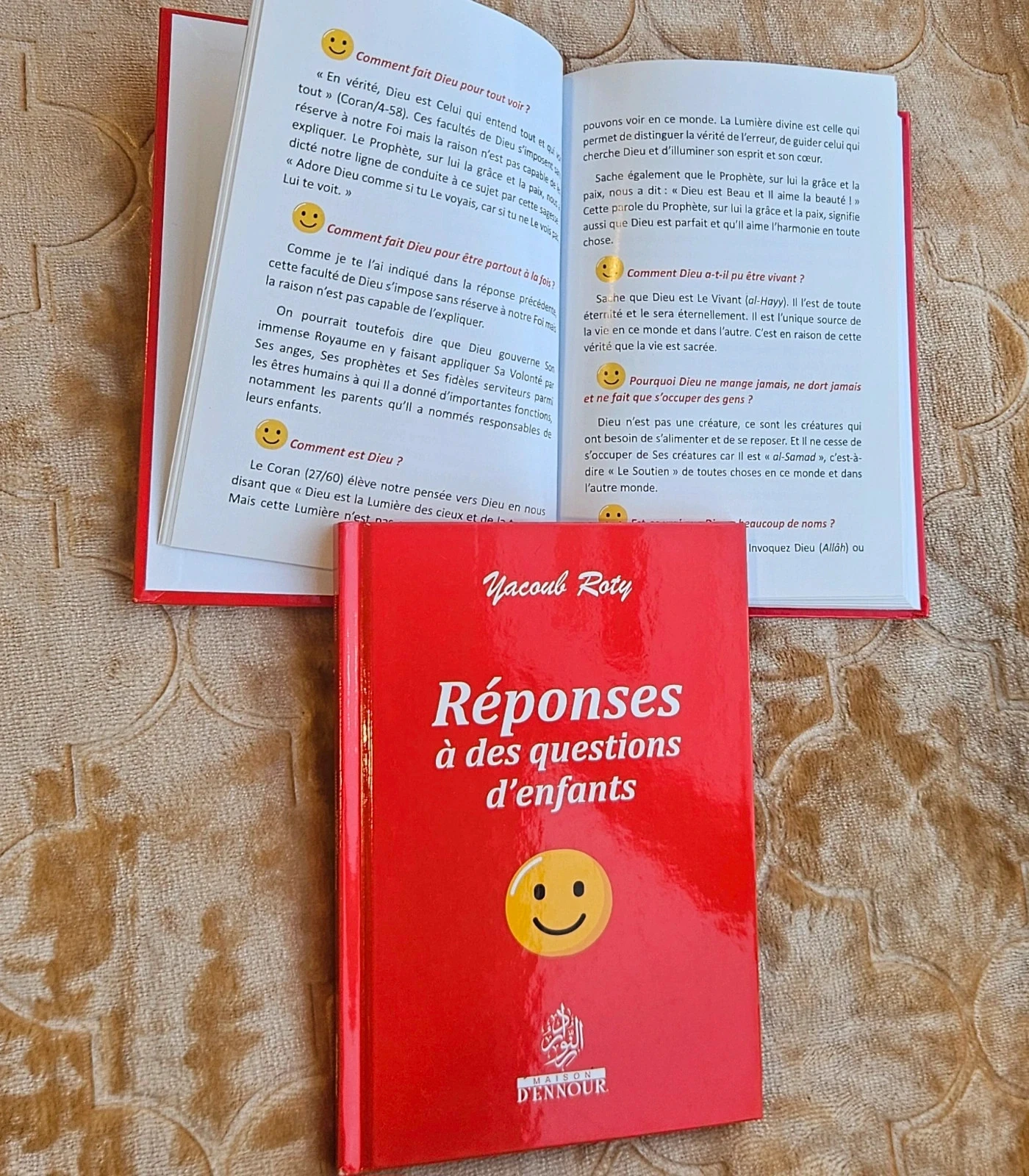 Reponses a des questions d'enfants – photo 4